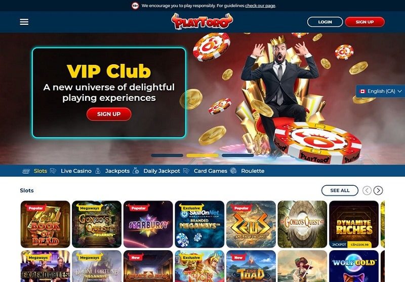 Playtoro Casino Review España