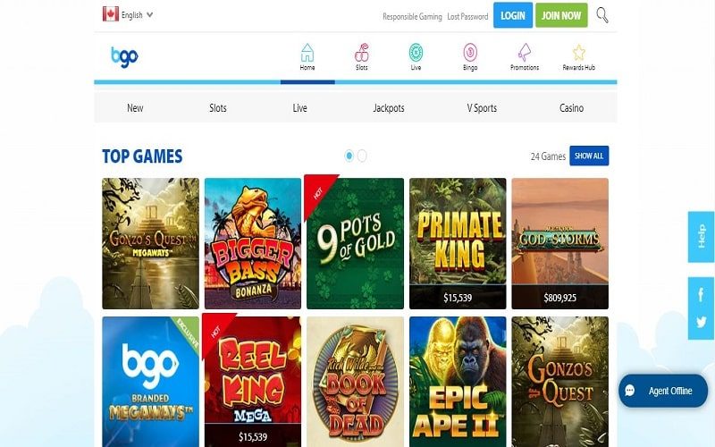 Top games to play at BGO Casino in España