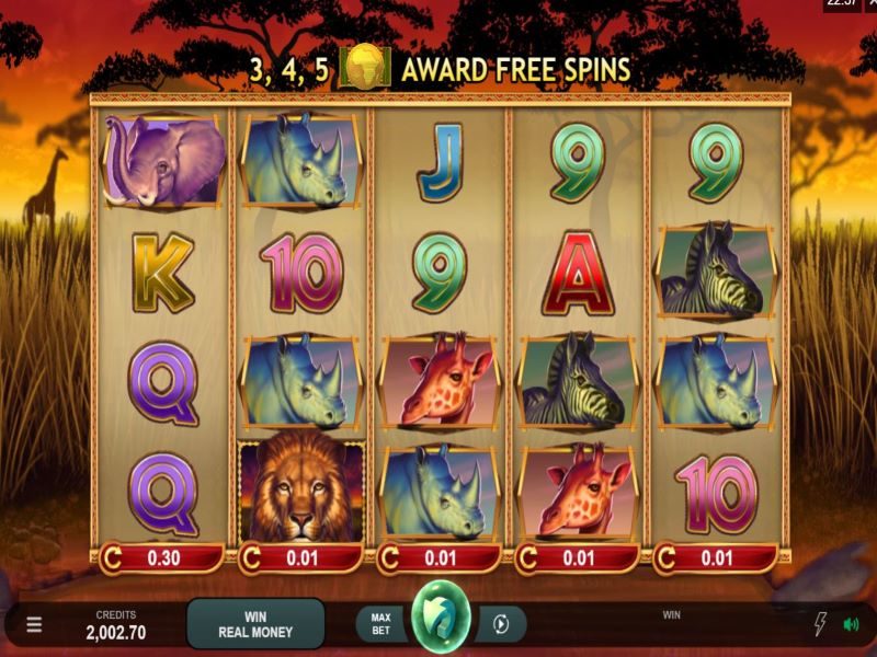 African quest slot by microgaming game reels view